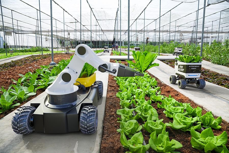 Agriculture Robotic And Autonomous Car Working In Smart Farm.